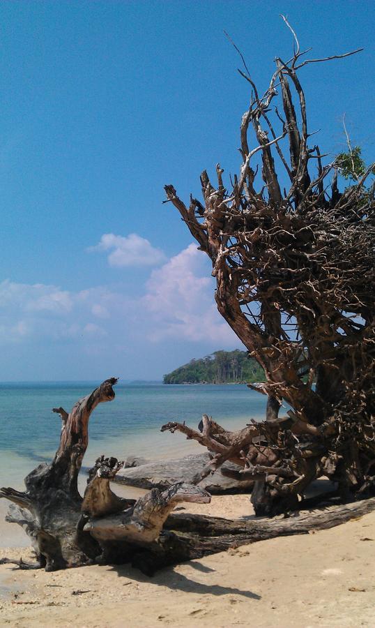 Pellicon Beach Resort Havelock island Extérieur photo